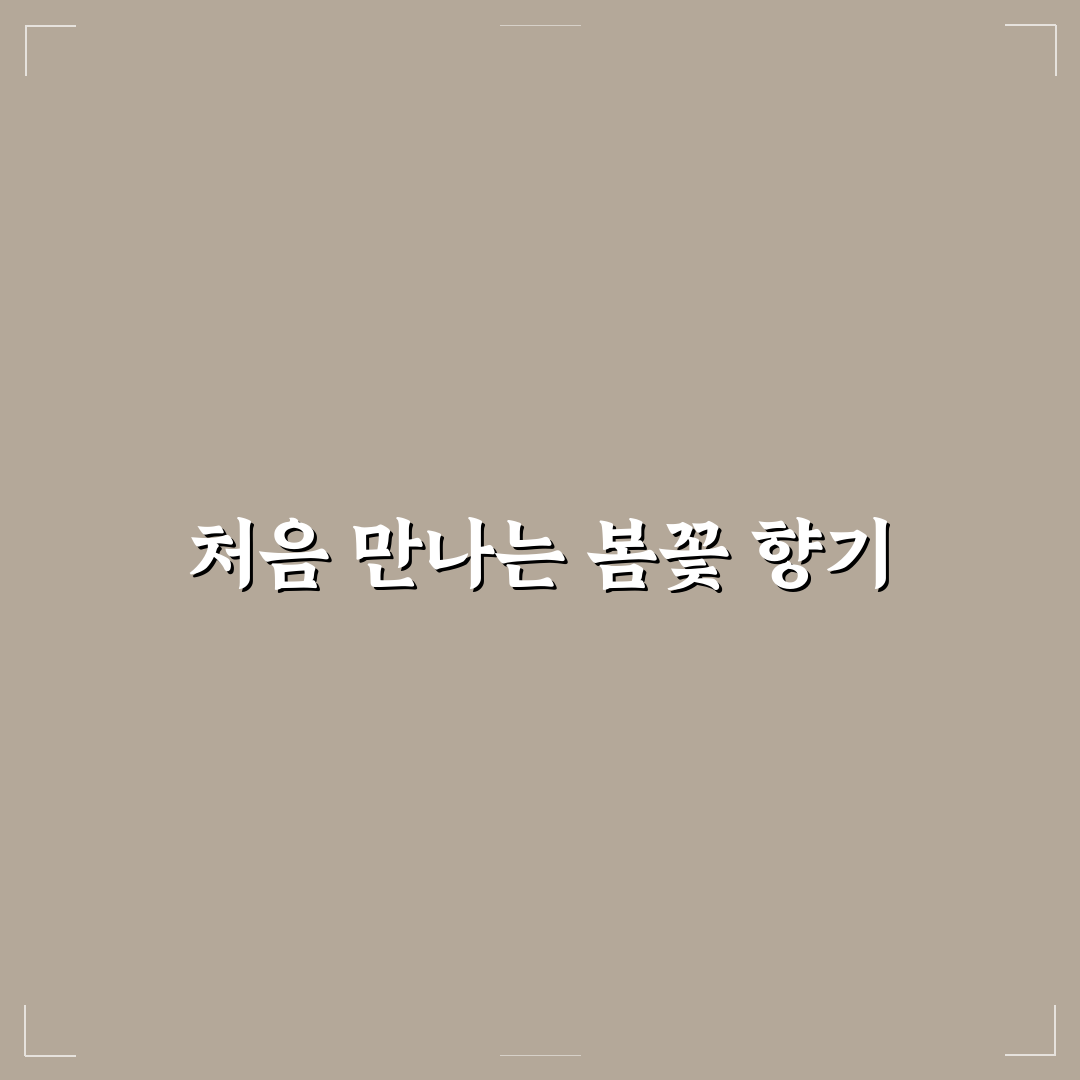 설류화 조팝나무 차이 직접 알아보니 느낀 점들