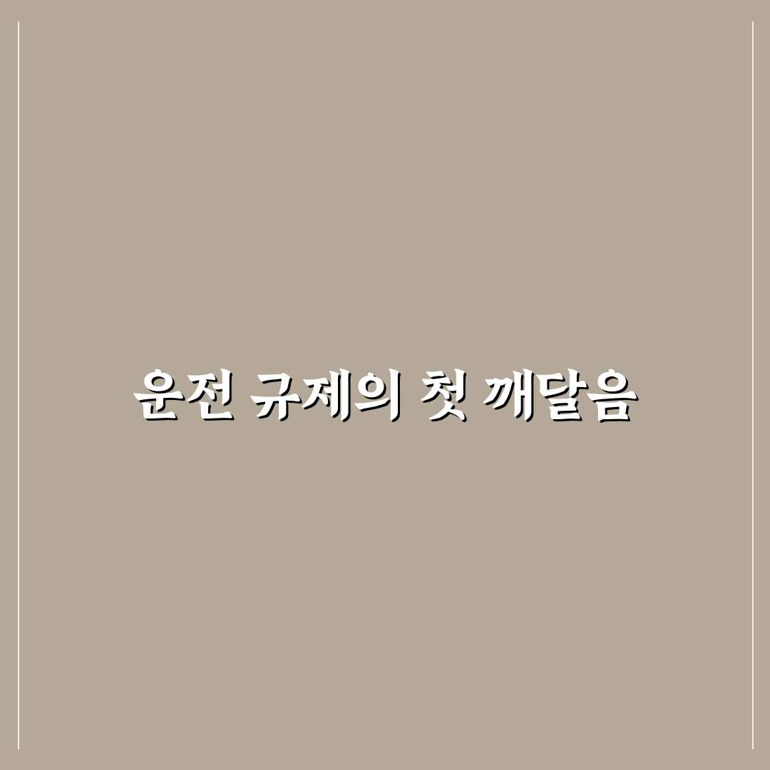차량 2부제 홀짝 직접 알아보니 불편했던 점과 변화