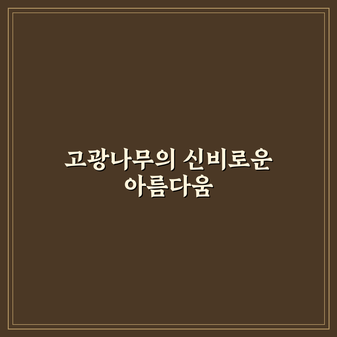 고광나무 효능 직접 알아보니 달랐던 점들