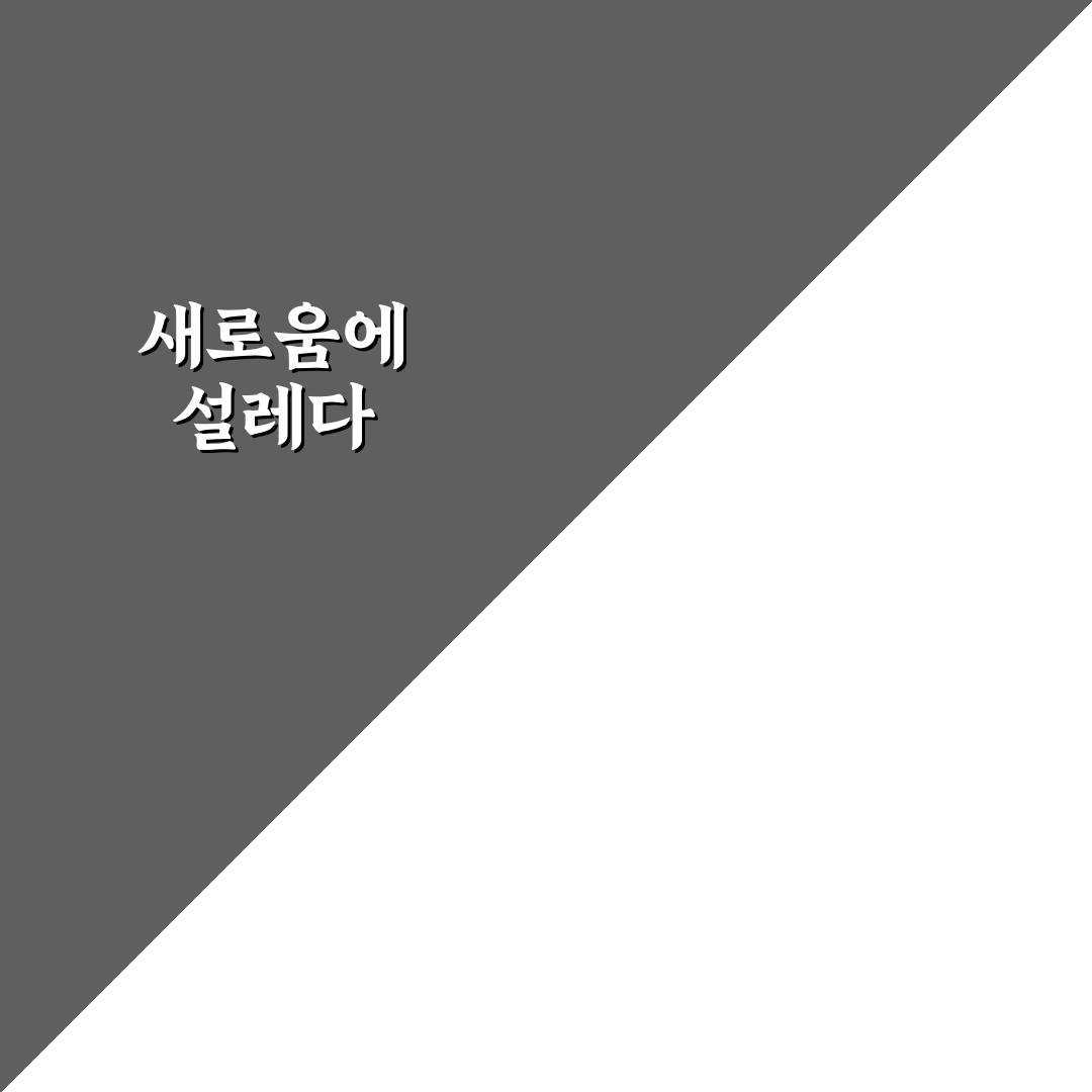 티머니고 환불 신청 후기, 절차와 소요 시간 직접 알아보니