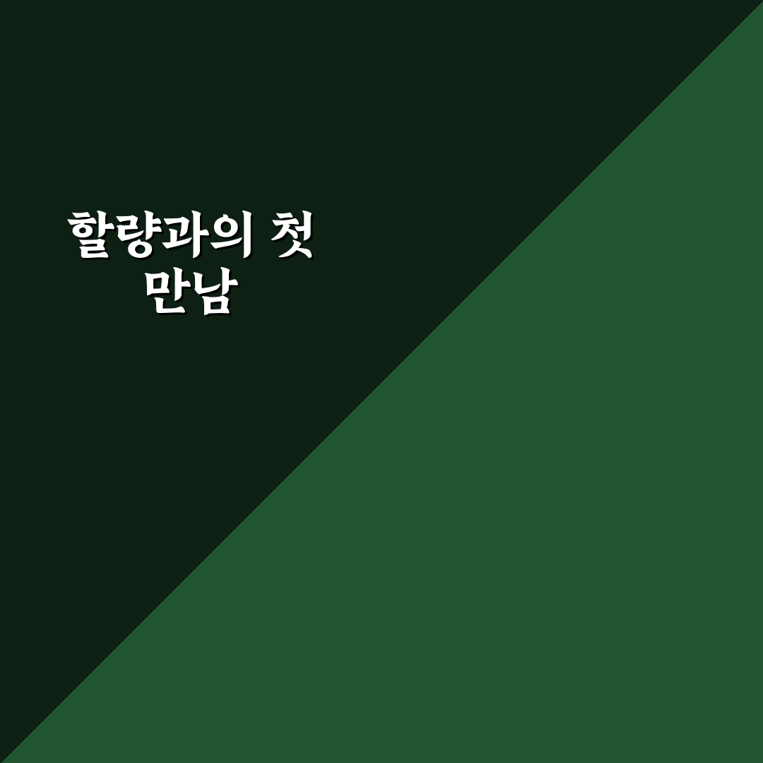할량이란 뜻 직접 알아보니 평소와 달랐던 점