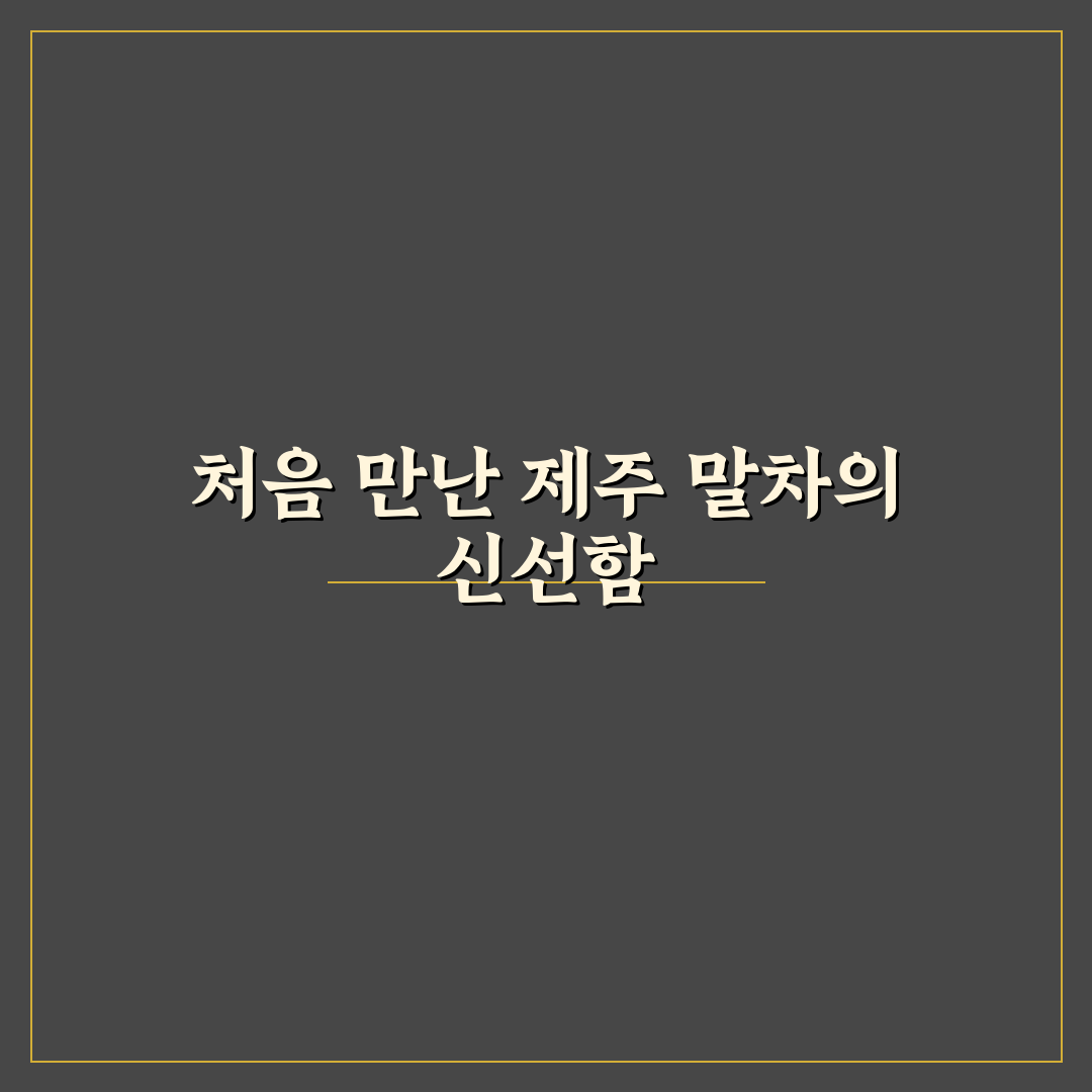 제주 말차 효능, 직접 알아보니 느낀 변화와 한계