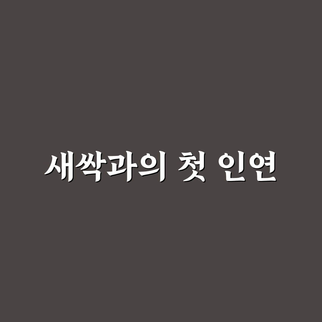 고광나무묘목 사용 후기, 실제 심어보니 느낀 점