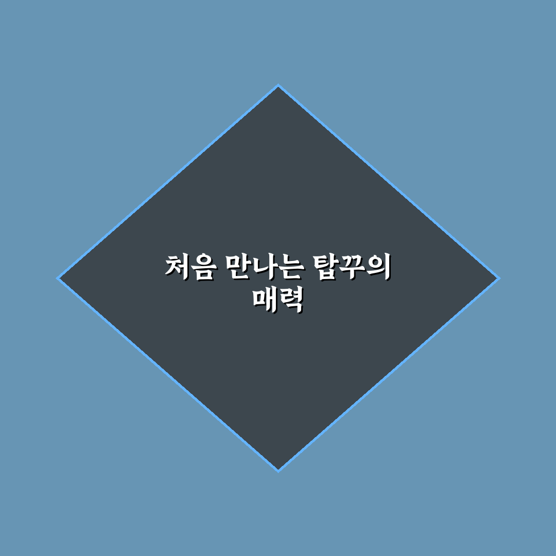 럭키데이지 탑꾸 사용 후기, 직접 써보니 장단점은?