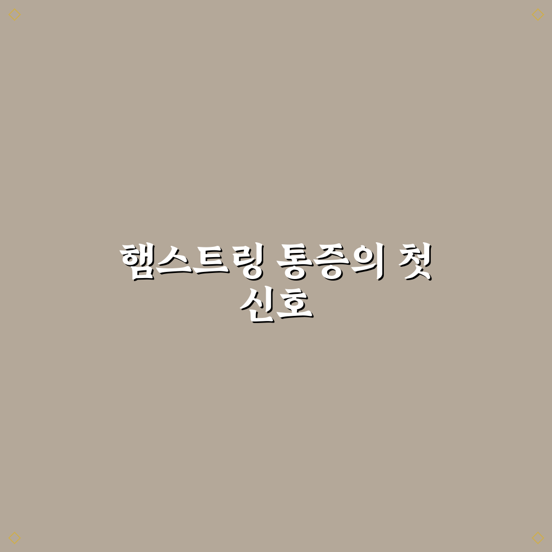 햄스트링 올라옴 증상, 직접 겪어보니 느낀 점