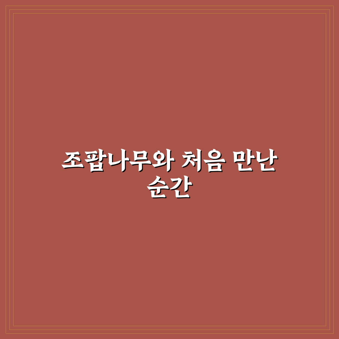 조팝나무 틱톡 사용 후기, 직접 써보니 어땠는지